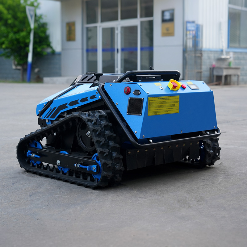 スマートホームガーデン向けのライダーカメラとGPSを搭載した - Smart Home Robot のレビューと価格